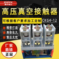 豫開**CKG4-12/630A交流高壓真空接觸器160A/250A/400A CKG3CKG4高壓接觸器