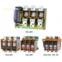 供應(yīng)冷氏電氣CKG3-630高壓真空接觸器