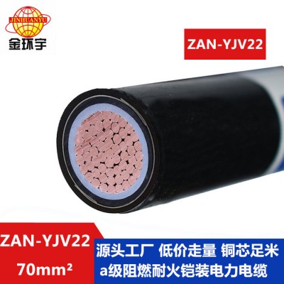 金環(huán)宇電纜 單芯電力電纜ZAN-YJV22-