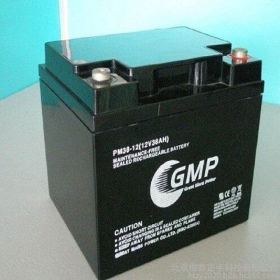 GMP蓄電池PM12-12 12V12AH閥控式鉛