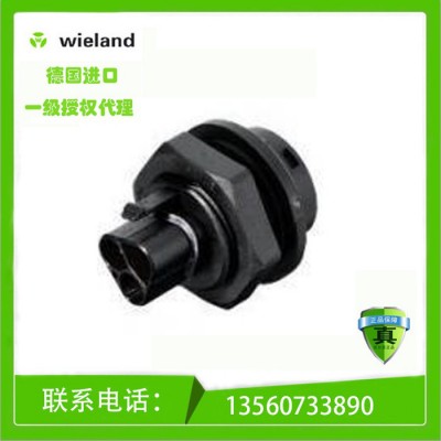 德國威瑯wieland 公連接器 RST20I2F