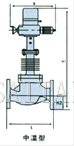 電動(dòng)精小型單座、套筒調(diào)節(jié)閥結(jié)構(gòu)圖1